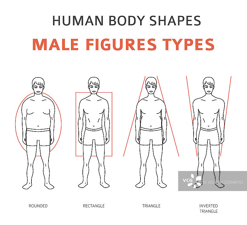 人体形状。男性人物类型设置图片素材