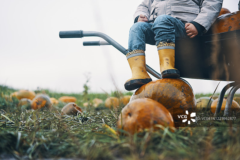 一个孩子坐在独轮手推车上，脚踩在南瓜上的脚和腿。图片素材