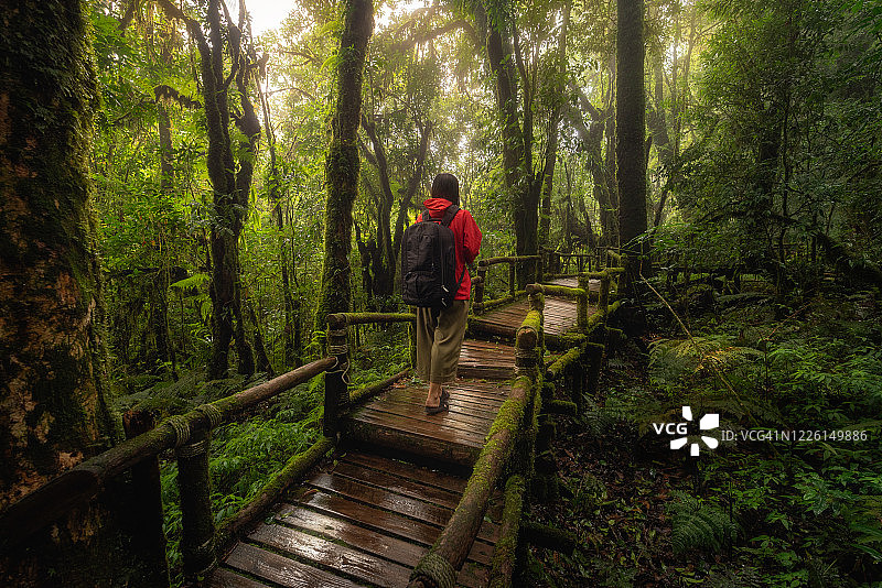 美丽的热带雨林，位于泰国清迈的doi inthanon国家公园的昂卡自然步道图片素材