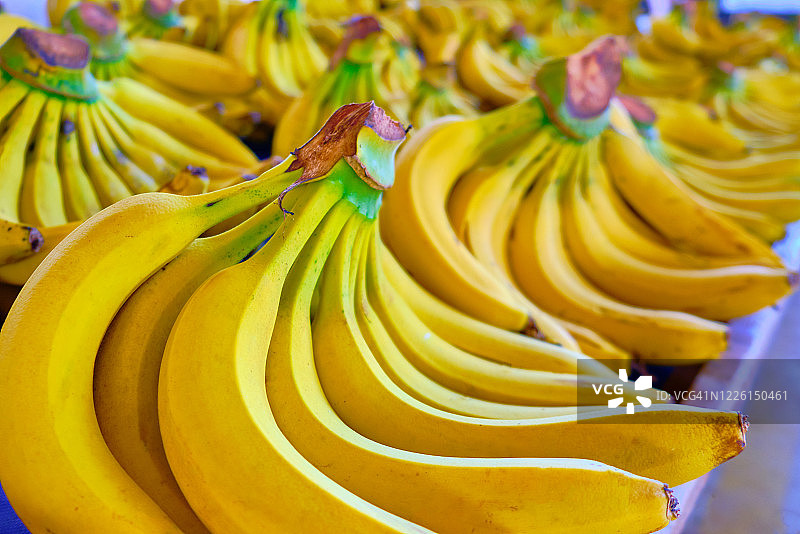 市场柜台上的几串香蕉图片素材