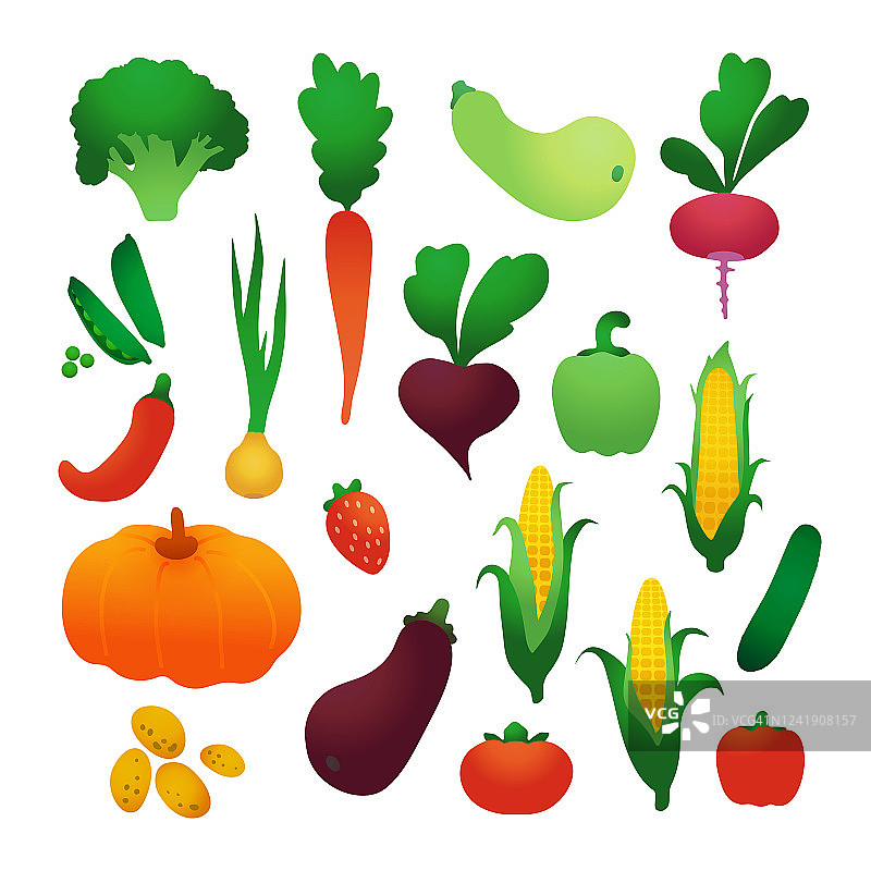 一组向量蔬菜。图片素材