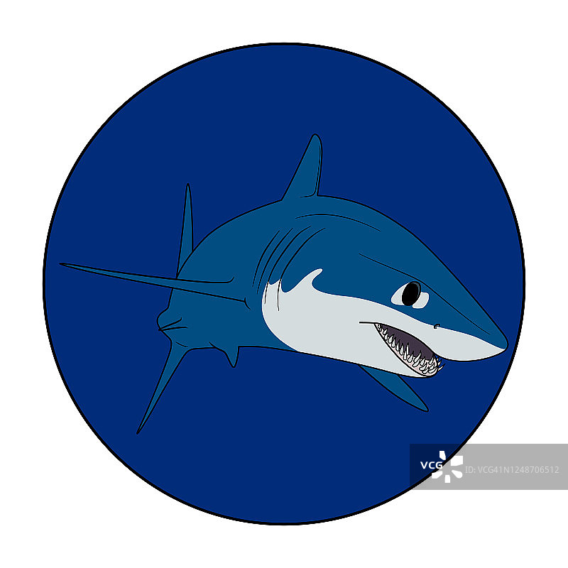 灰鲭鲨。游动的鲨鱼在一个蓝色的圆圈里。动物插图标志型潜水业务或水下水族馆中心。孤立在白色背景上。深海野生动物捕食者标志图标图片素材