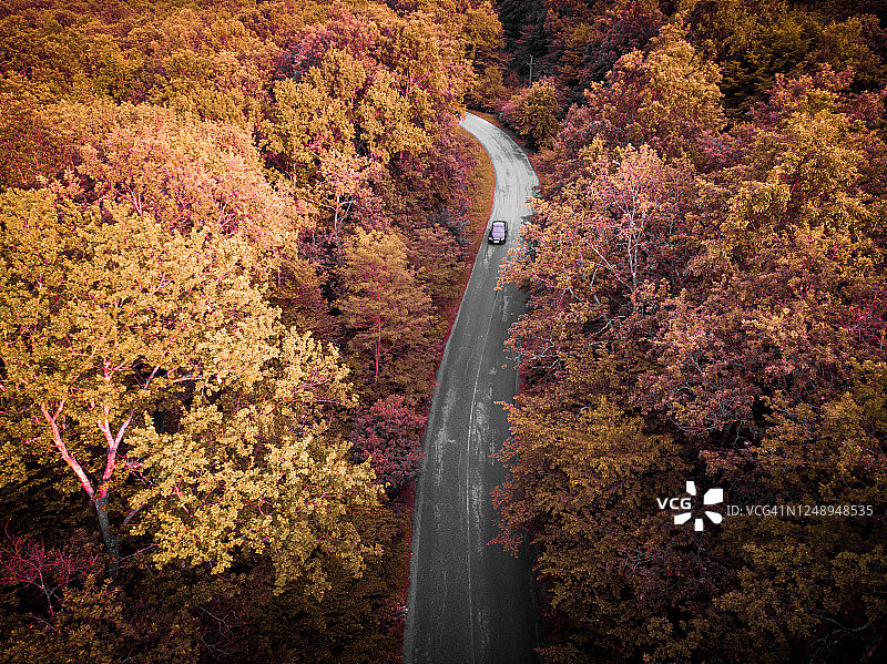鸟瞰图的汽车行驶在蜿蜒的道路通过秋天的森林图片素材