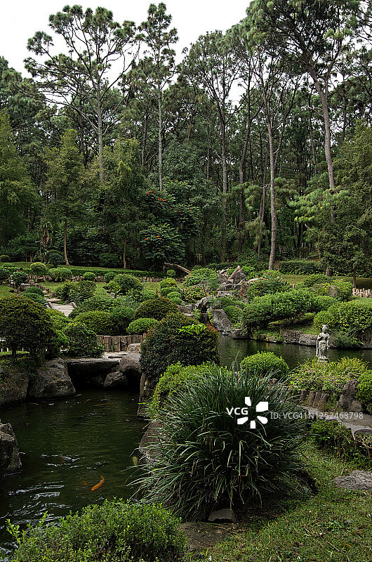 日本花园(Jardin Japones)和锦鲤池塘，Bosque Los Colomos，瓜达拉哈拉，Jalisco，墨西哥图片素材