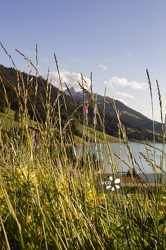 瑞士洪林湖的风景优美图片素材