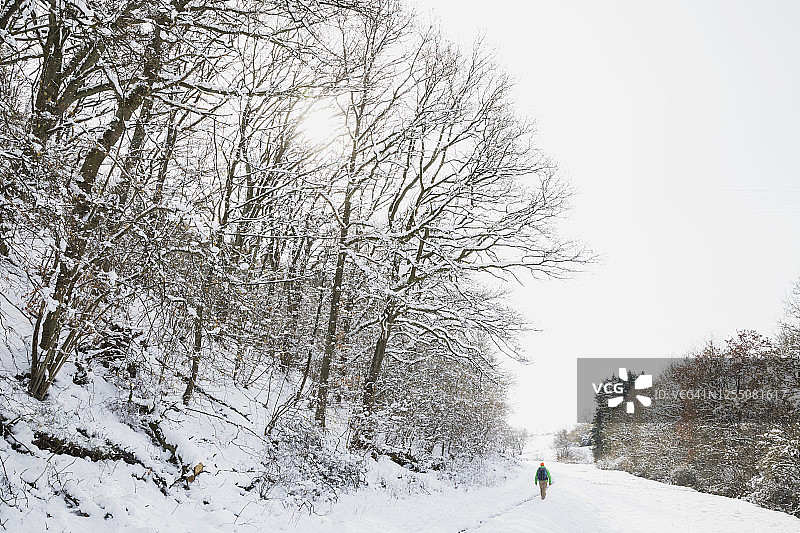 德国，北莱茵-威斯特伐利亚，孤独的背包客徒步在白雪覆盖的高沼泽-艾菲尔自然公园在日落图片素材