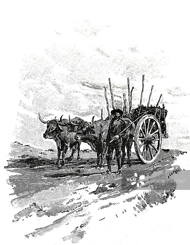 西班牙的牛车图片素材