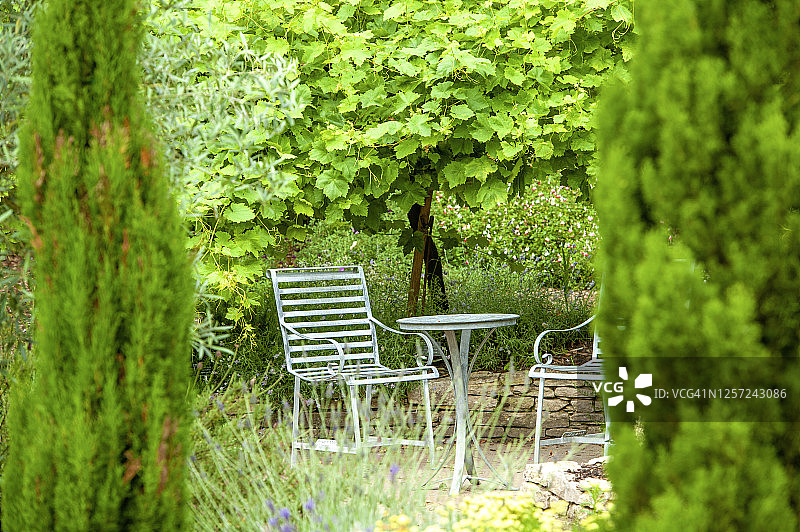 美丽的锻铁，花园桌椅在花园隐藏与高大常青树图片素材