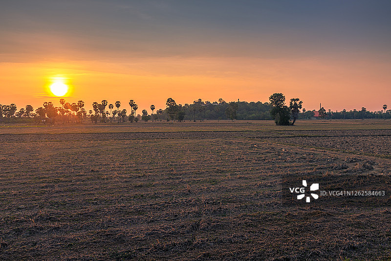 泰国，亚洲，日出时天空的农场风景图片素材