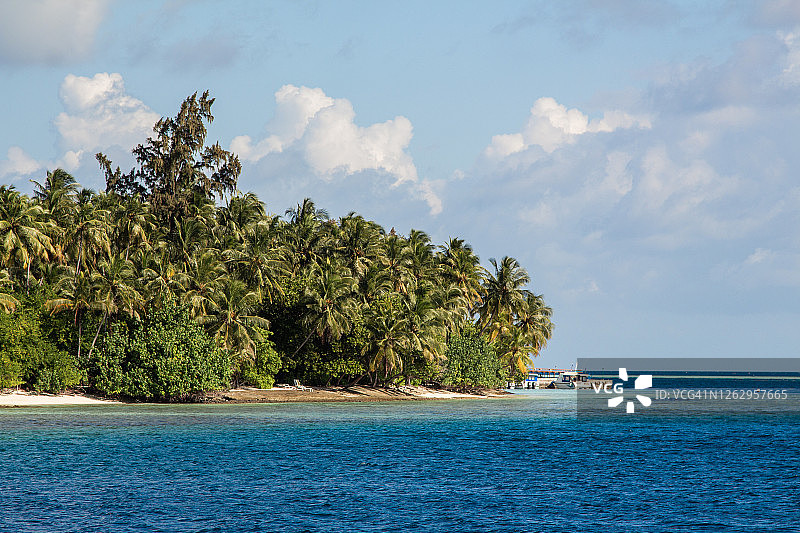 热带岛屿，梦想海滩的棕榈树图片素材
