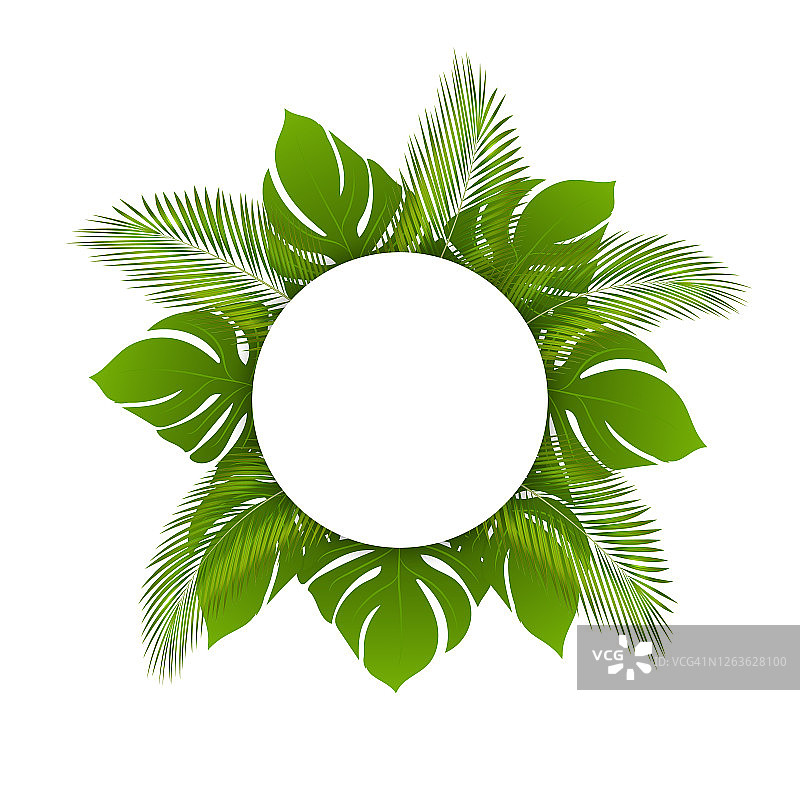 美丽矢量时尚的夏季热带叶，圆框。横幅以绿色热带森林棕榈叶为背景模板。可以用于化妆品和水疗吗图片素材
