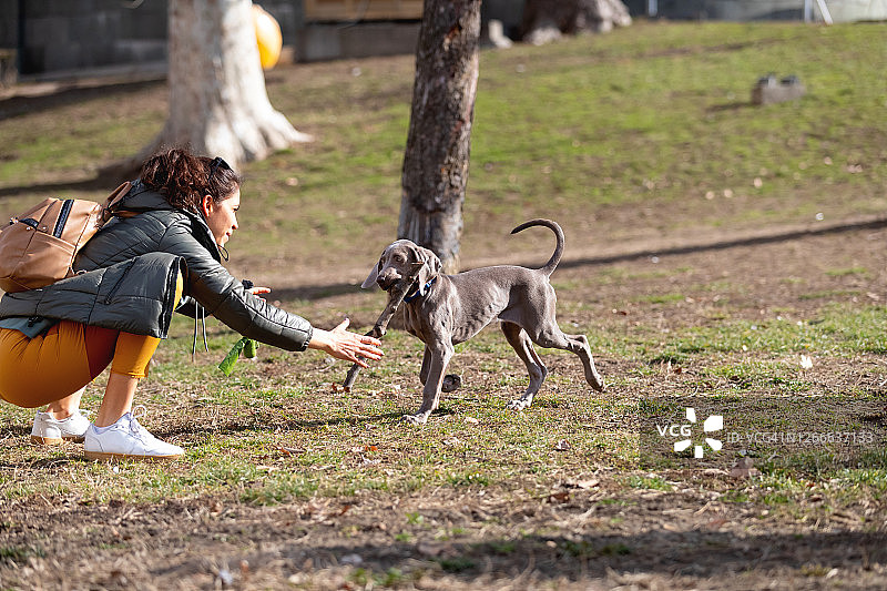 一名妇女在隔离期间与她的狗在公园里玩耍图片素材