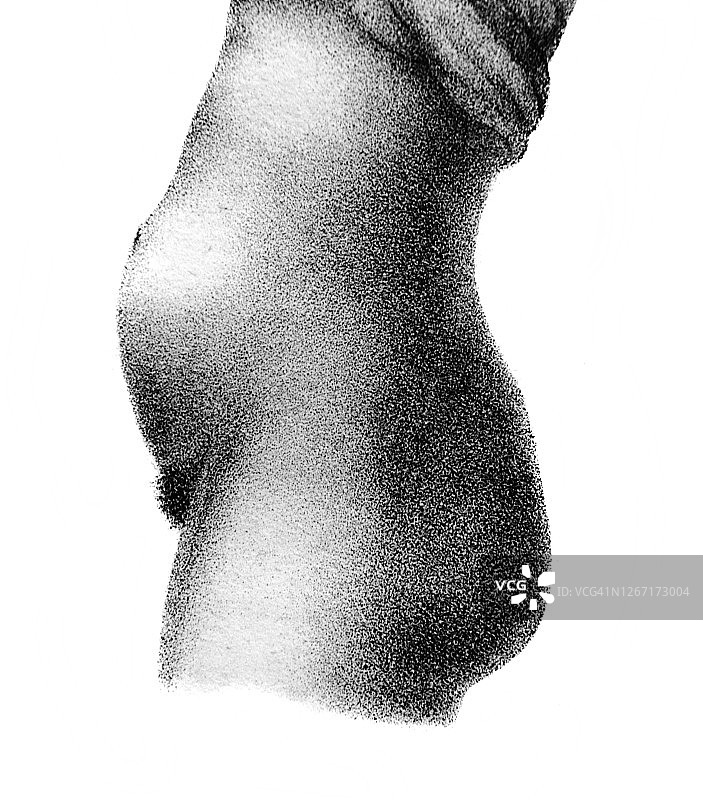 《阿特拉斯·阿比顿根》中孕妇的肚子，作者是d·w·布希，柏林，1841年图片素材
