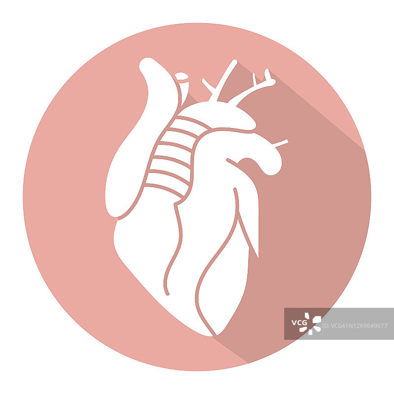 人体心脏内部器官矢量图标在一个圆形的红色背景上图片素材