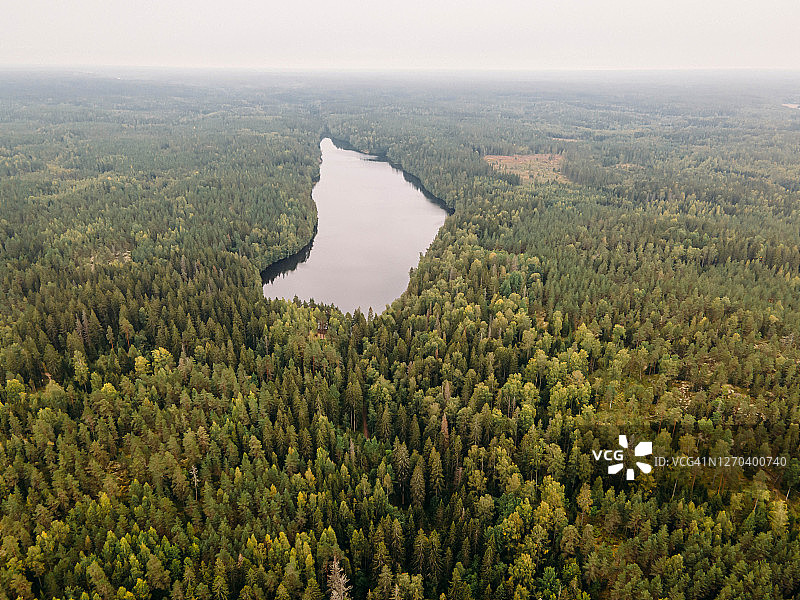鸟瞰图秋天经典的芬兰风景努克西奥国家公园图片素材