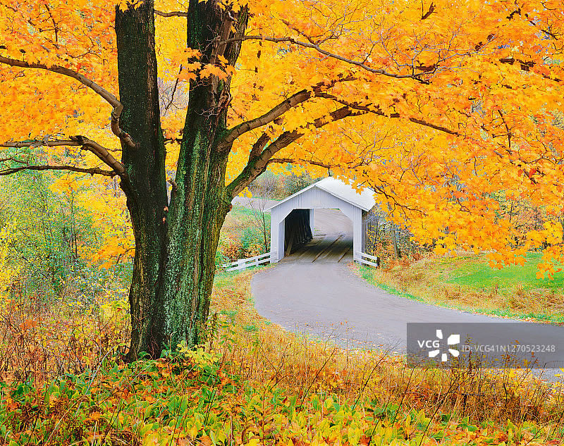 佛蒙特州伍德斯托克的新英格兰秋季乡村图片素材