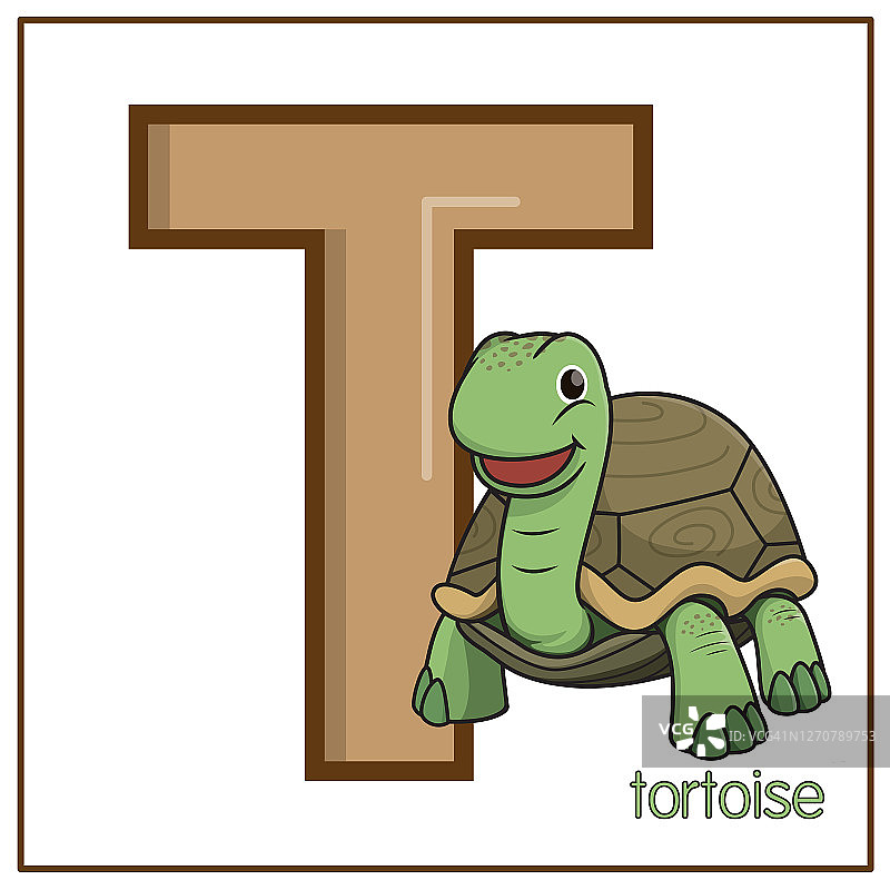 一只乌龟站在白色背景上孤立的矢量插图。以大写字母T为教材，让孩子认识英文字母。图片素材