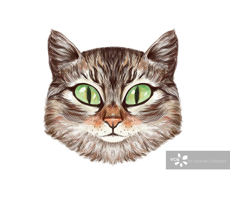 插图肖像的虎斑猫与大绿色眼睛直视。纹理手绘图纸图片素材