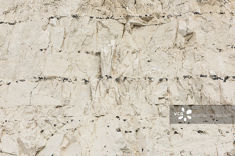 近距离观察英国东苏塞克斯郡七姐妹悬崖的白垩岩面图片素材
