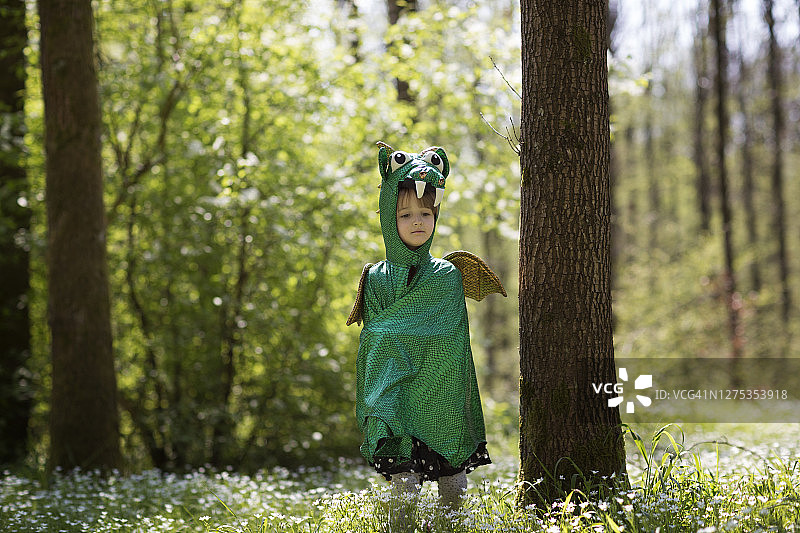 穿着绿龙服装的孩子站在树林里的春日野花丛中图片素材
