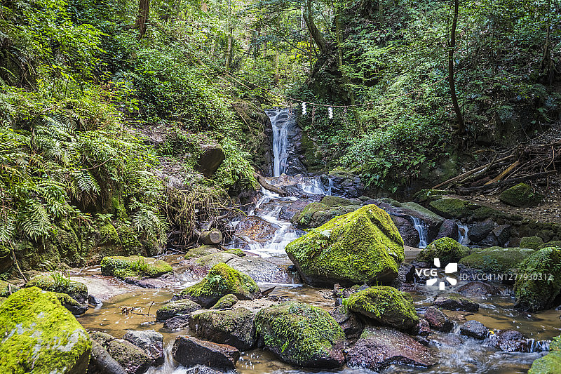 树林中的小瀑布和长满苔藓的岩石图片素材