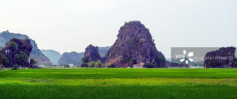 越南宁滨省Tam Coc的稻田图片素材