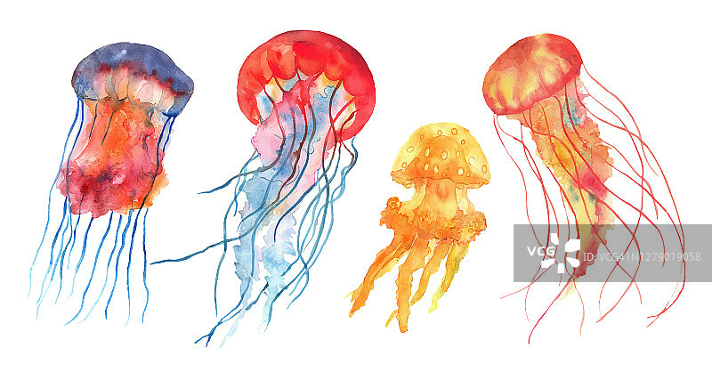 五颜六色的水彩水母摆出不同的姿势。海洋和海蜇的颜色鲜艳的彩虹。水下世界。手绘矢量插图。图片素材