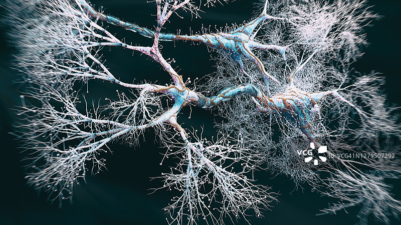 神经元细胞近景图片素材