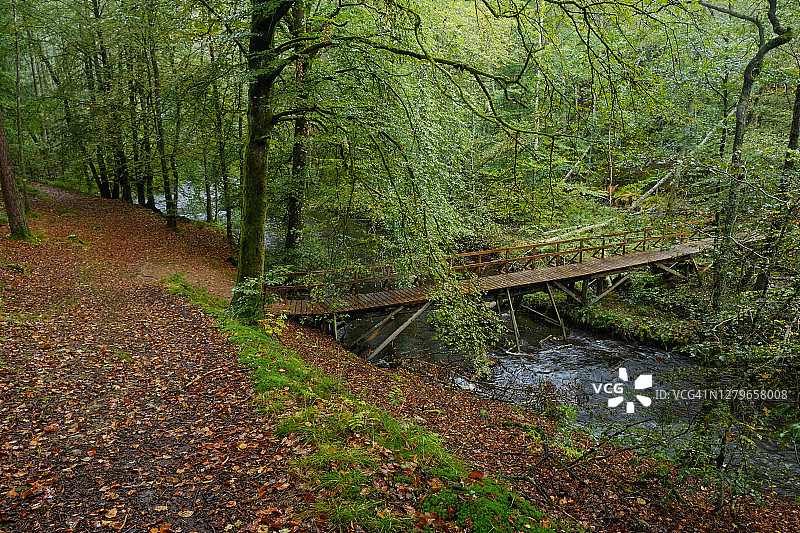 秋天落叶林里的一条河上的木桥图片素材