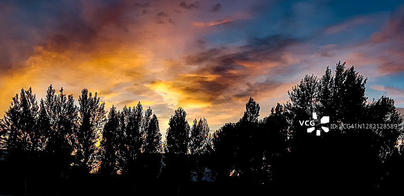 在日落时分，一排树的剪影与一个戏剧性的天空的道路图片素材