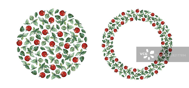 绿色的罗勒枝和叶子和红色的圣女果，孤立在白色。一套两个圆形水彩画设计。图片素材