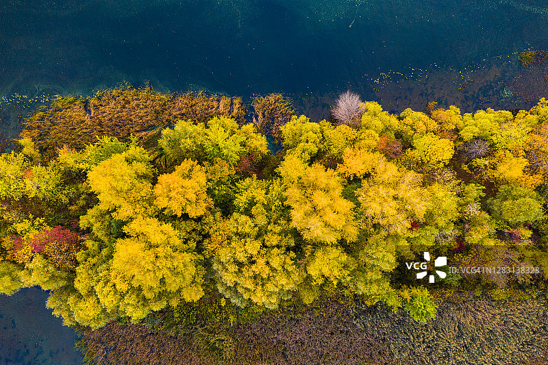 河边秋天森林的鸟瞰图图片素材