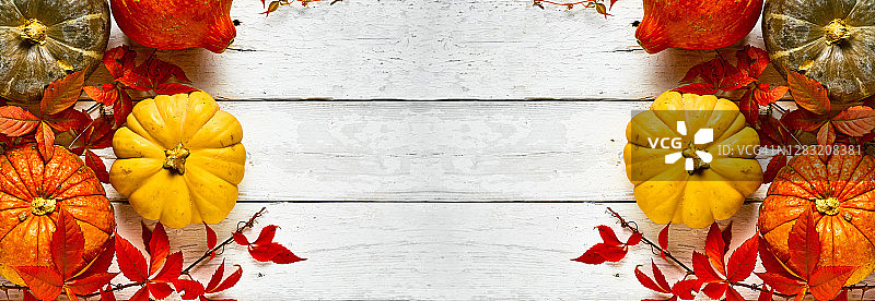 在一块白色的旧木板上布置彩色的南瓜，用柳叶装饰，顶视图与复制空间。图片素材