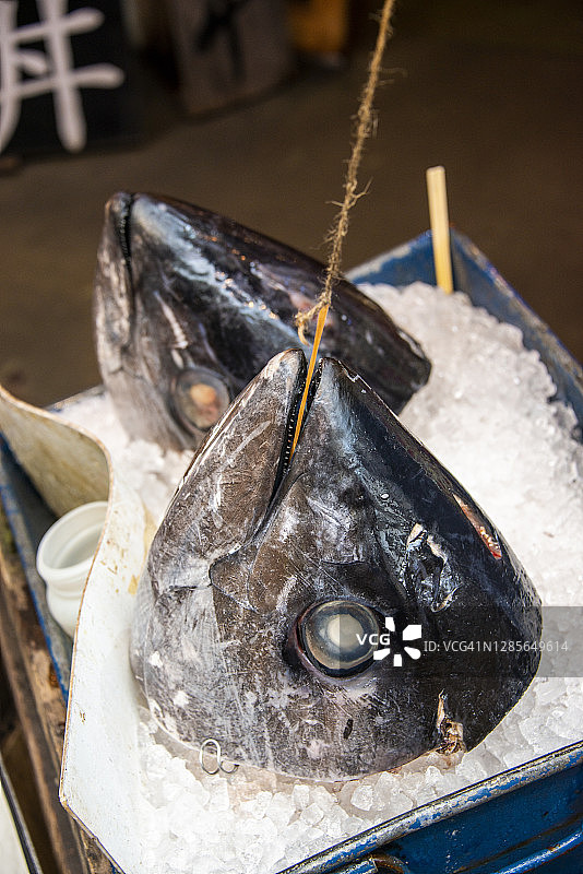 日本东京筑地鱼市的金枪鱼头图片素材
