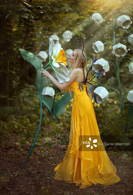 幻想女人金发森林仙女。时尚模特穿着黄色长裙，手拿蝴蝶翅膀，闻着大朵水仙花。风景白百合的山谷。阳光光线魔法图片素材