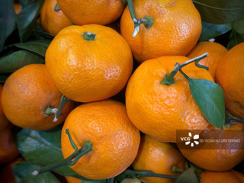 中国新年金橘和柑橘图片素材