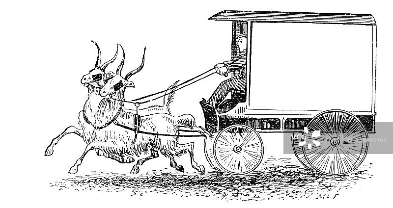 古董插图:山羊驱动的马车图片素材
