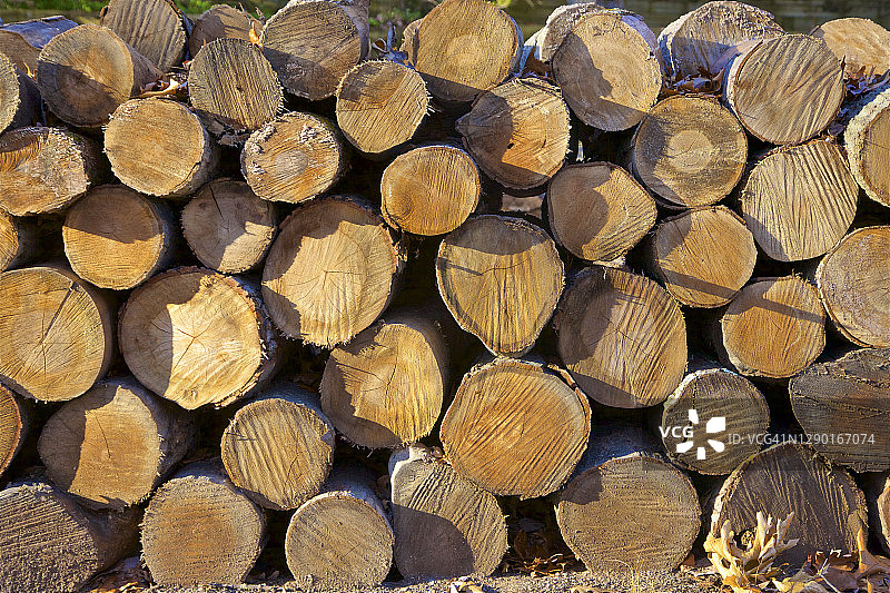 一堆砍下来的木头，科帕克图片素材