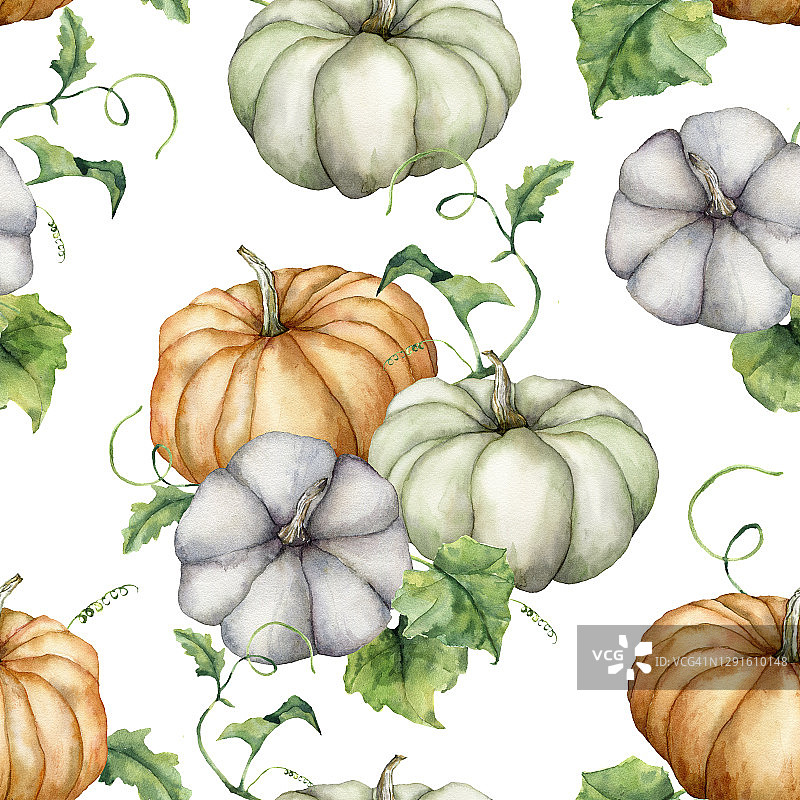 水彩南瓜和叶子无缝图案。手工绘制蓝色，绿色和橙色的葫芦孤立在白色的背景。秋天的丰收节。植物插图设计，印刷，背景。图片素材
