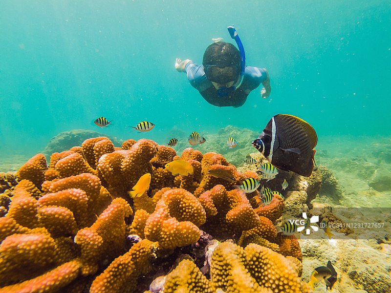 年轻人浮潜探索水下珊瑚礁景观背景在深蓝色的海洋与丰富多彩的鱼类和海洋生物图片素材