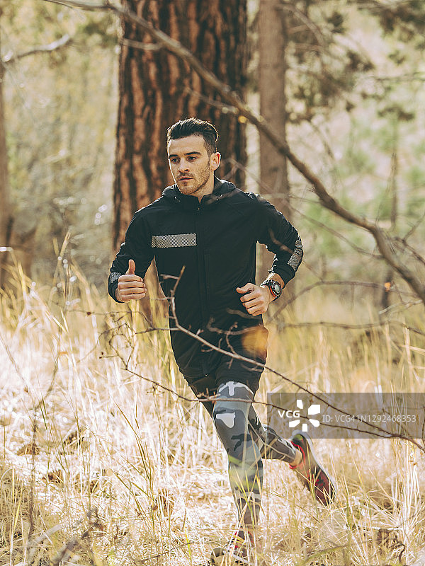 坚定的男运动员在森林里奔跑图片素材