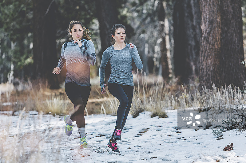 自信的女运动员在白雪覆盖的田野上奔跑，森林里的树木图片素材