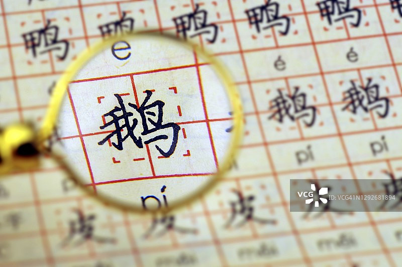 Looking at Chinese Characters Through a Magnifying Glass -鹅图片素材