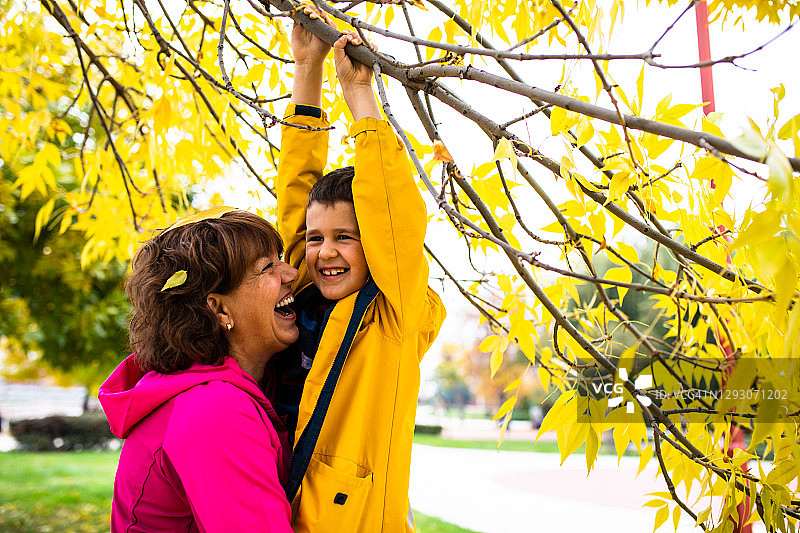 在公园里，奶奶和孙子微笑着摇晃树枝上的秋叶图片素材