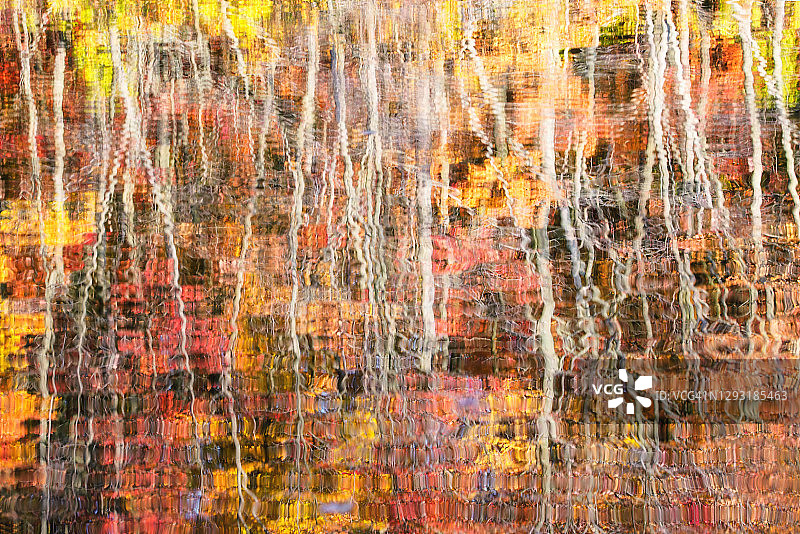 神奇的秋天颜色的树在橙色，红色和黄色倒映在水中图片素材