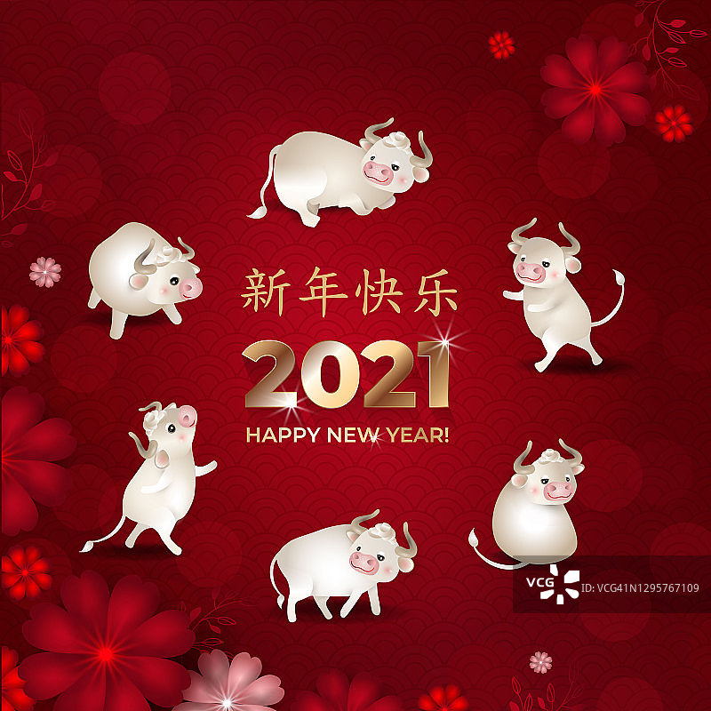 2021年春节快乐。一套可爱的白色牛。公牛在红色的背景上摆着不同的花圈。亚洲模式。汉字:新年快乐。矢量插图。图片素材