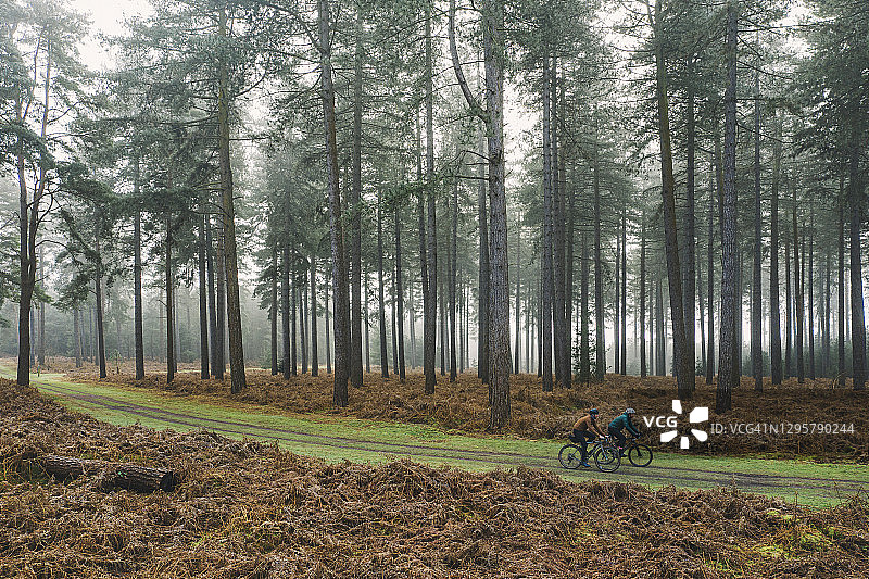 两名骑自行车的人在森林轨道上的无人机视图图片素材