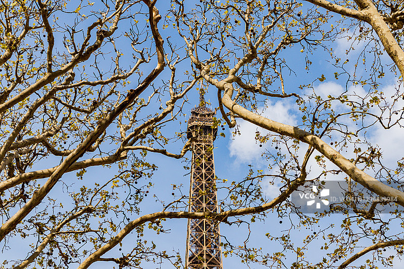 在一个美丽的日子里，透过树林俯瞰埃菲尔铁塔——法国巴黎图片素材