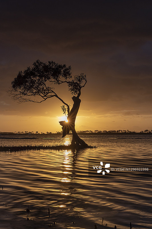 澳大利亚阳光海岸黄金海滩的日出图片素材