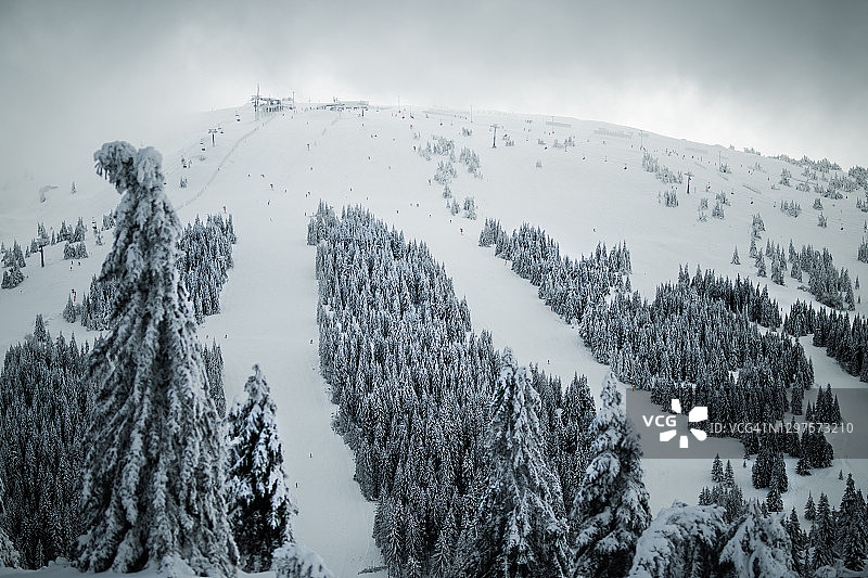 美丽的景色从山上到白雪皑皑的森林图片素材